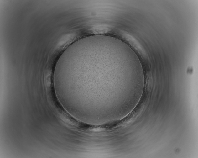 X0000102380501200808011540
