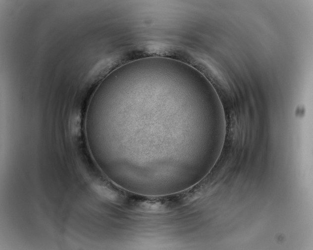 X0000102380502200808011540