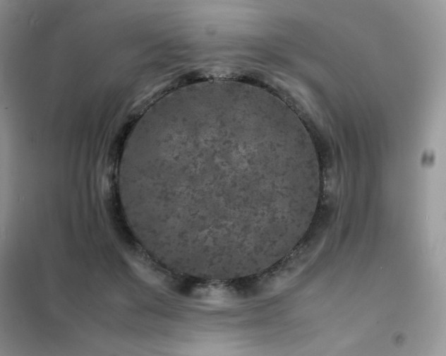 X0000102380503200808011540