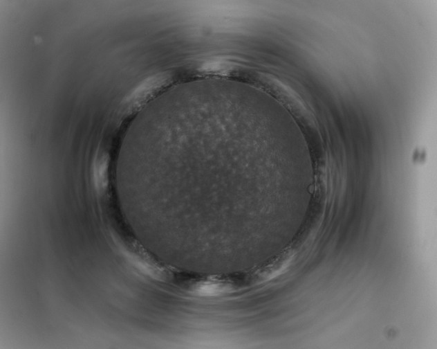 X0000102380504200808011540