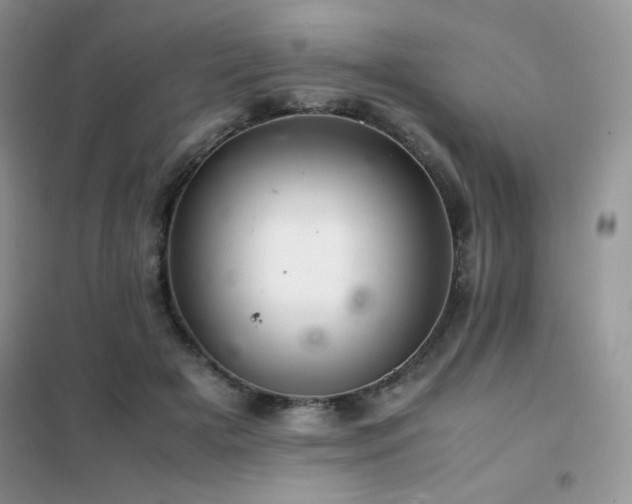 X0000102380505200808011540