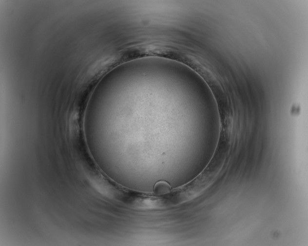 X0000102380506200808011540