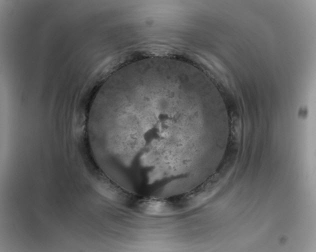 X0000102380507200808011540