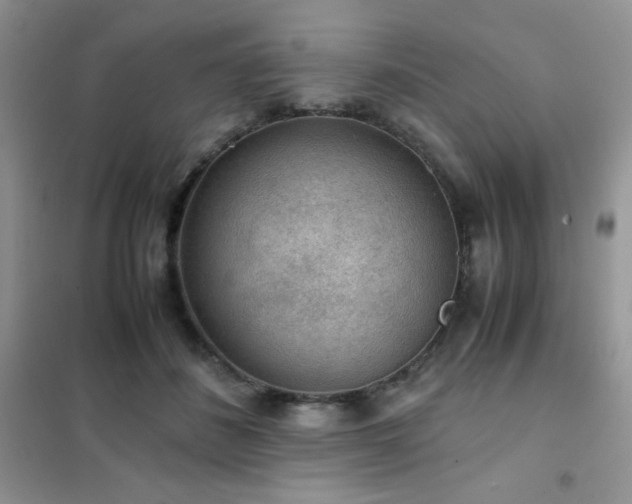 X0000102380508200808011540