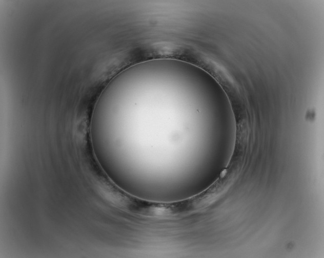 X0000102380509200808011540