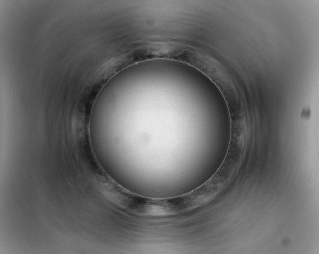 X0000102380510200808011540