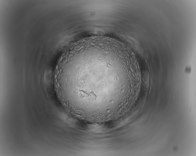 X0000102380511200808011540