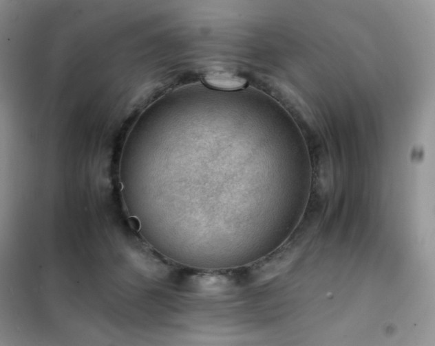 X0000102380512200808011540