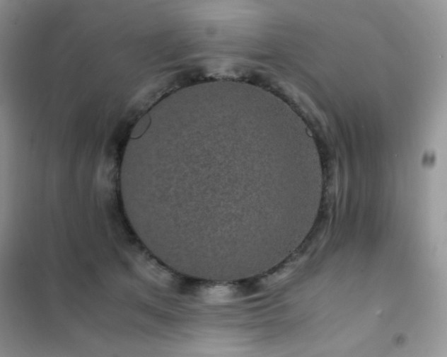 X0000102380513200808011540