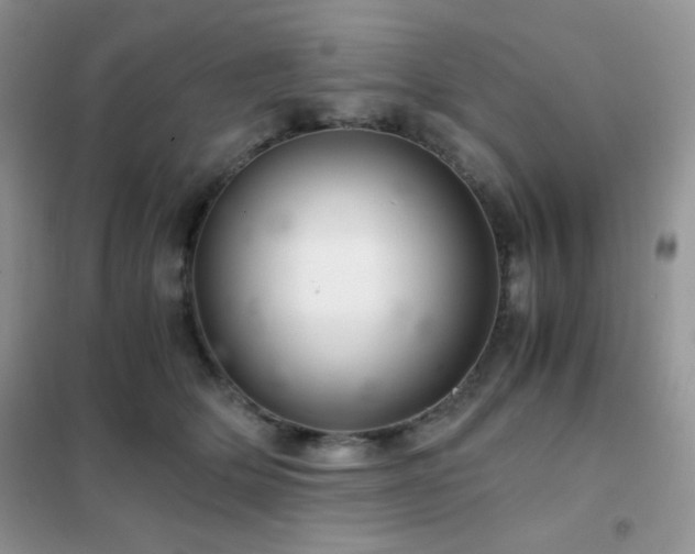 X0000102380514200808011540