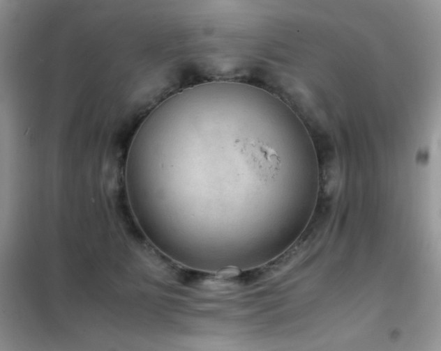 X0000102380515200808011540