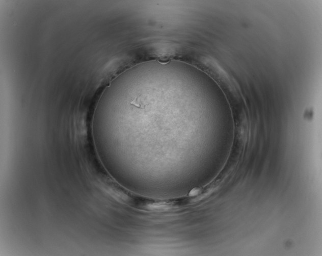 X0000102380516200808011540