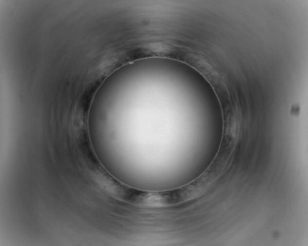 X0000102380518200808011540
