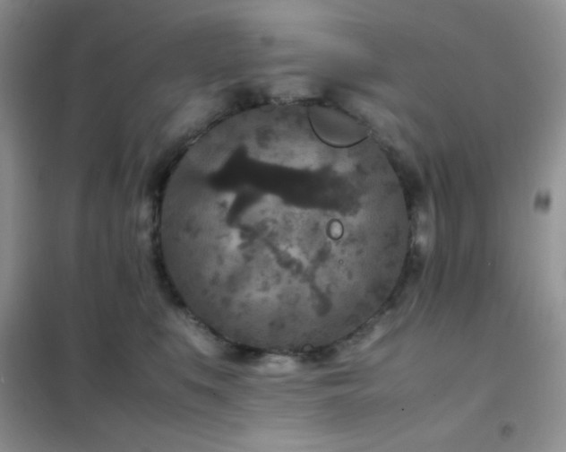 X0000102380519200808011540