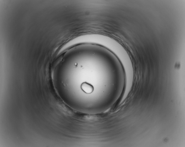 X0000102380520200808011540