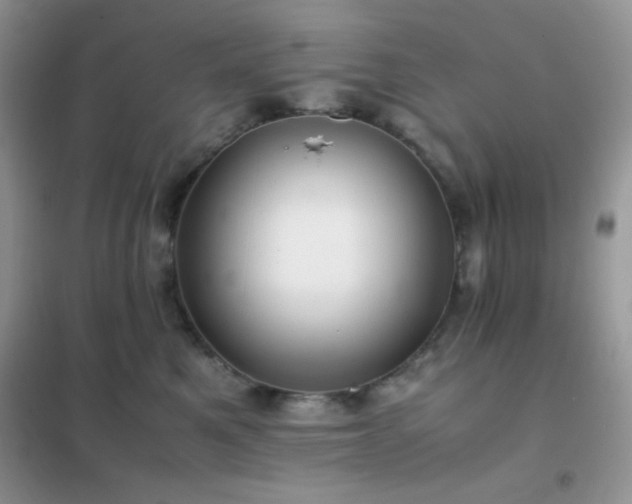X0000102380521200808011540