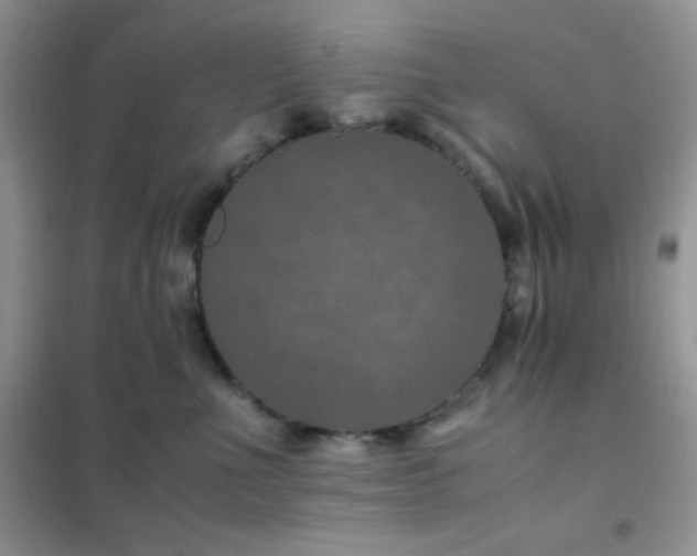 X0000102380523200808011539