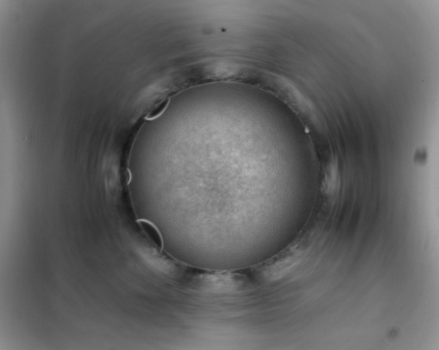 X0000102380524200808011539