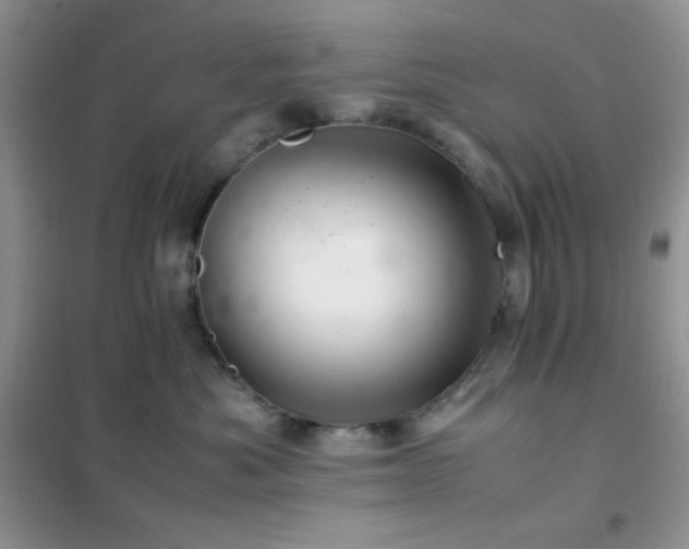 X0000102380525200808011539