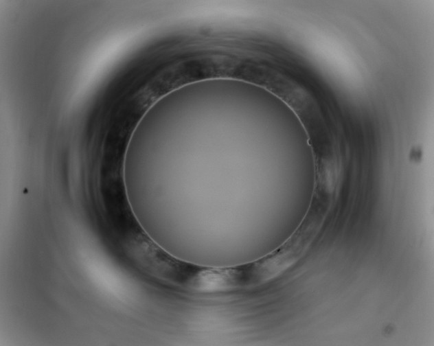 X0000102380526200808011539