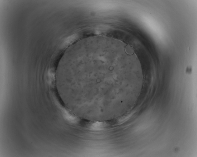 X0000102380527200808011539