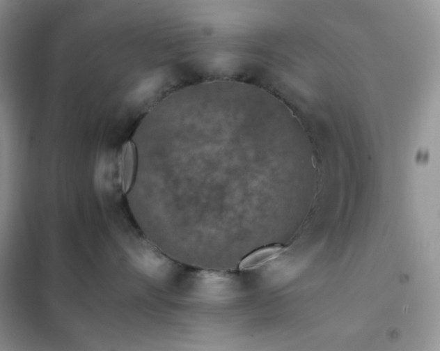 X0000102380528200808011539