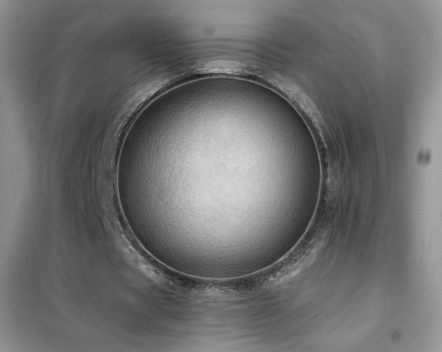 X0000102380529200808011539