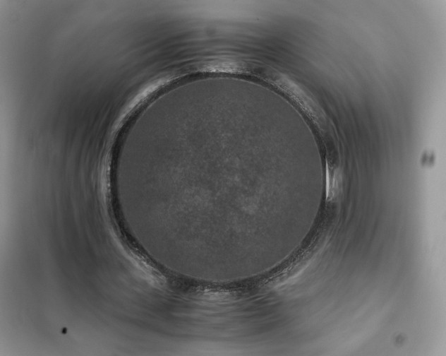 X0000102380531200808011539