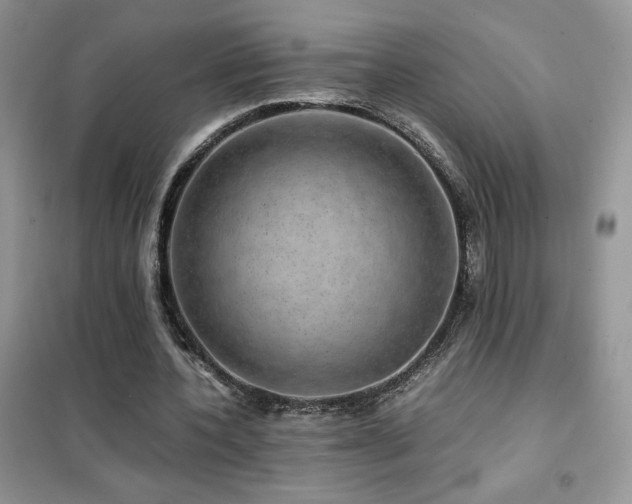 X0000102380532200808011539