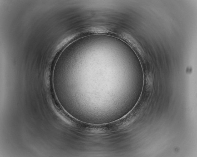 X0000102380533200808011539
