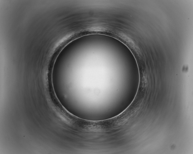 X0000102380535200808011539