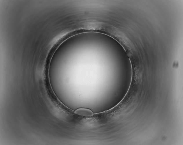 X0000102380536200808011539