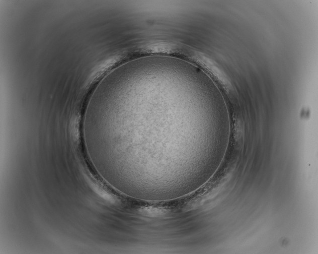 X0000102380537200808011539