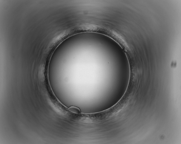 X0000102380538200808011539