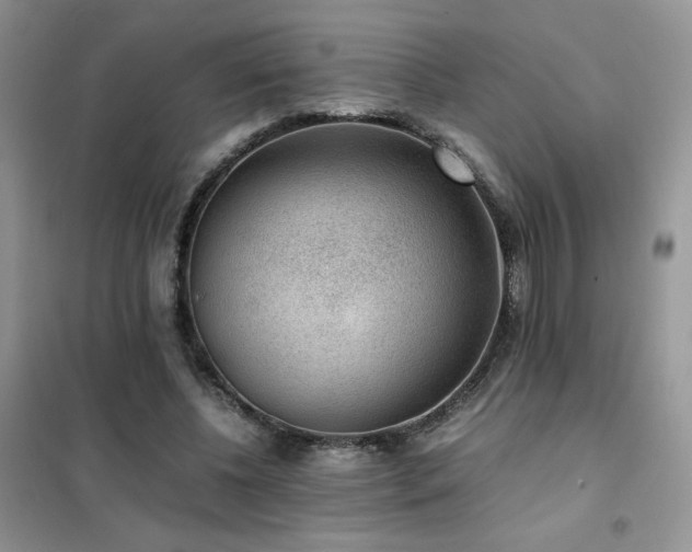 X0000102380540200808011539