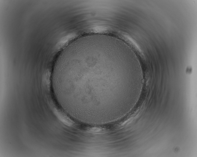 X0000102380542200808011539
