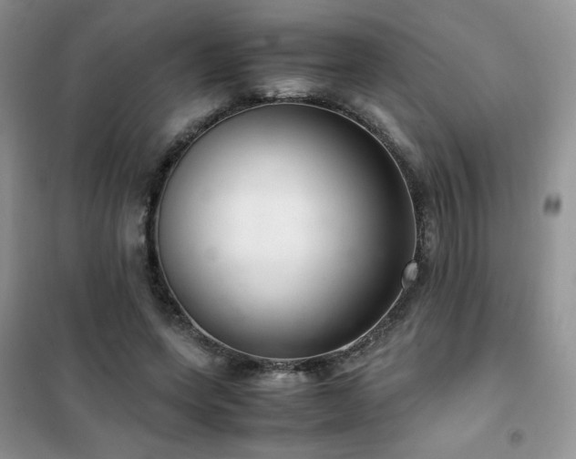 X0000102380543200808011539