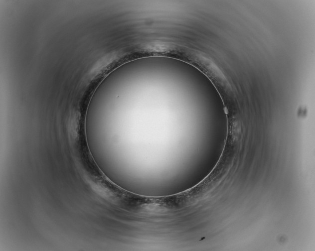 X0000102380544200808011539