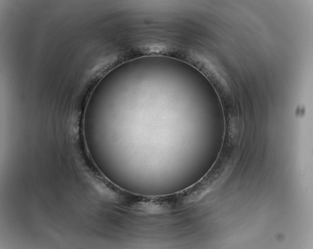 X0000102380545200808011539