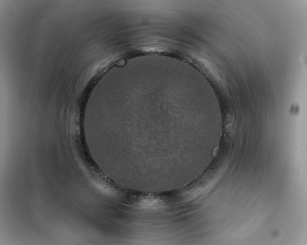 X0000102380547200808011539