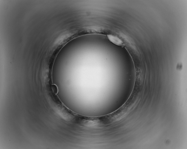 X0000102380548200808011539