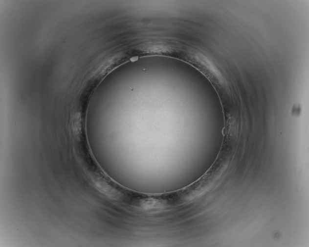 X0000102380549200808011539
