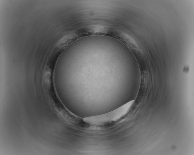 X0000102380550200808011539