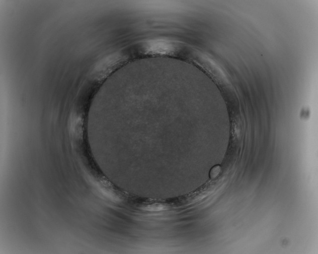 X0000102380551200808011539