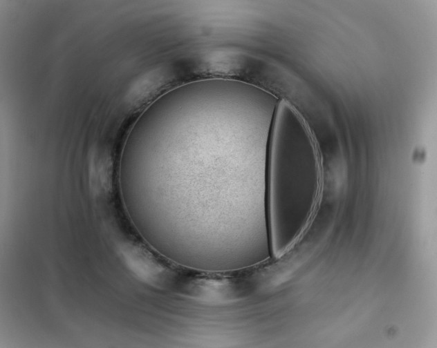 X0000102380552200808011539