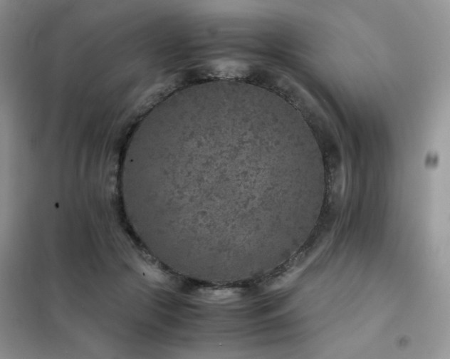 X0000102380553200808011539