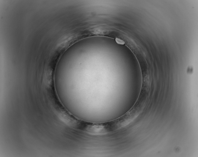 X0000102380554200808011539