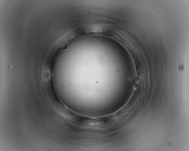 X0000102380555200808011539