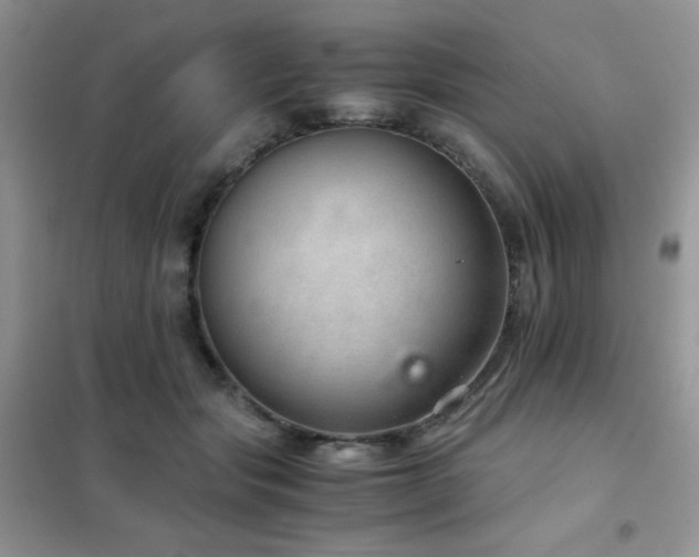 X0000102380557200808011539
