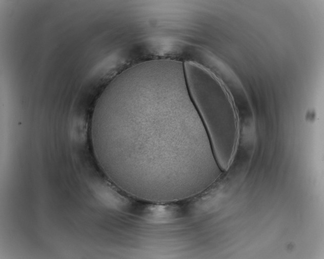 X0000102380558200808011539
